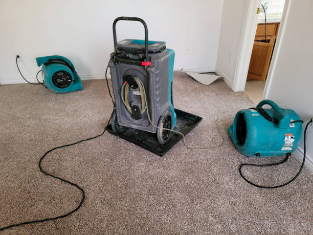 Water damage restoration mold remediation in Bloomingdale, GA