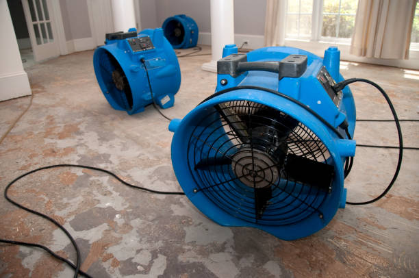 Best Commercial water damage restoration  in Bloomingdale, GA