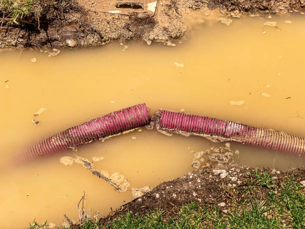 Trusted Bloomingdale, GA Water damage restoration Experts