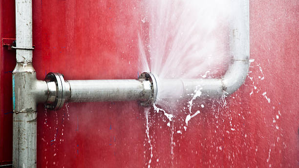 Best Local water damage restoration  in Bloomingdale, GA